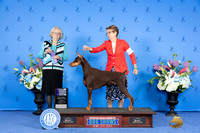 Heidi Milam Houston 2024