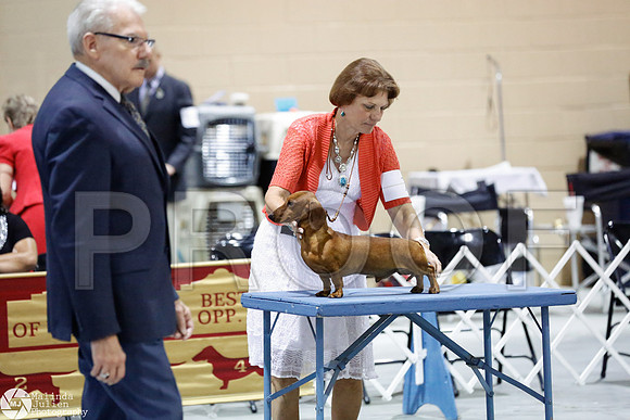 _CL_8674-SanAntonioJul2014-HR