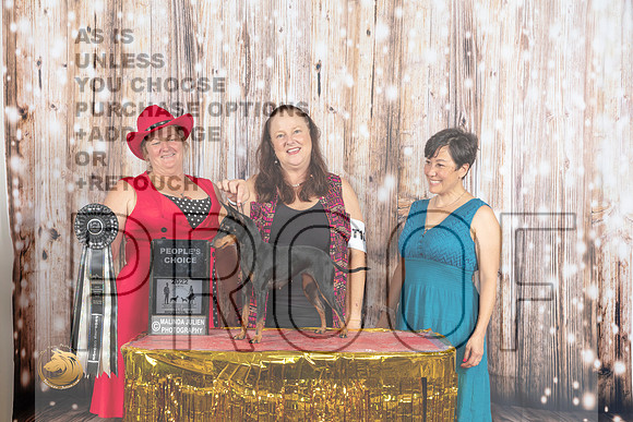Manchester Terrier Toy #T10 Wed PeopleChoice_MJ_3284_Houston_2022_HR3