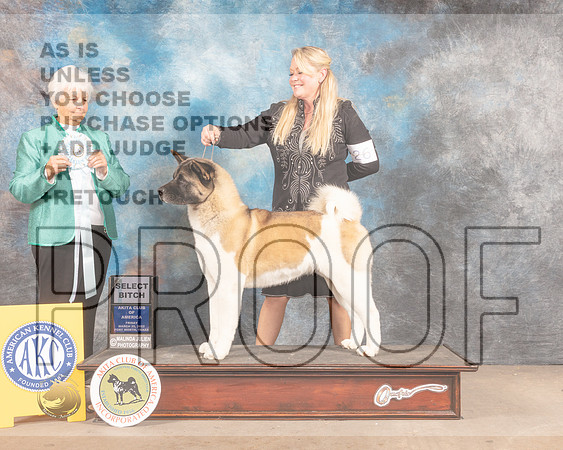 Akita #26 Fri SB Judge Gloria Kerr-MMJ_7311-FW2022-HR3