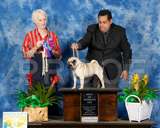 _ST_7707-SAJul2014-HR3