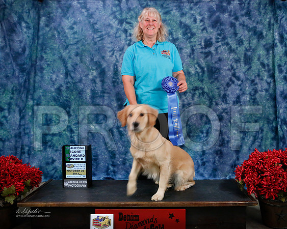 StandNov-8909-WFOct2013-HR