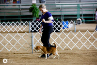 Beagle Specialty Fri Rings