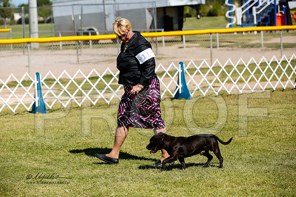 _JJ_3221-AlamogordoOct2014-HR3