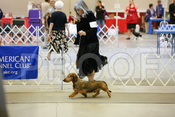 _JJ_3374-AmarilloSept2014-HR3