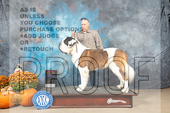 St Bernard #11 Sun BOSCh custom_MJ_6556_Belton_2022_HR3