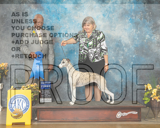 Whippet #? Fri G1 Judge Eugene Blake-MMJ_9774-NWARK2022-HR3