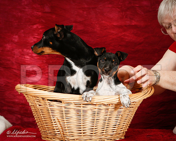 _ST_2203-2-BeltonJan2015-HR3
