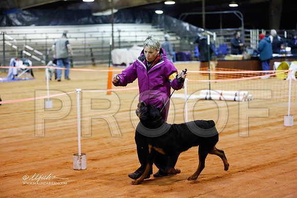 rott-0337-MrshlDec13-HR