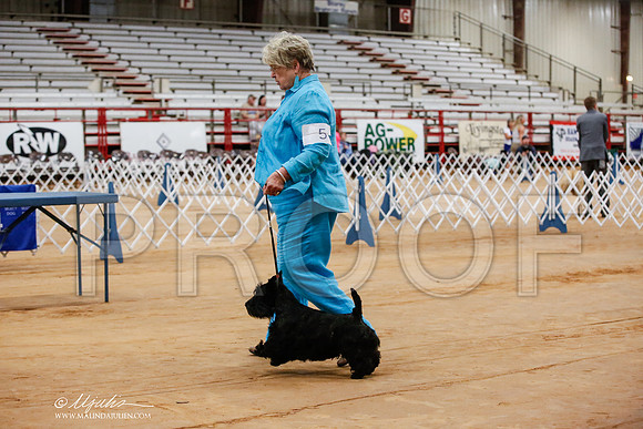 _JJ_6474-TxArJun2014-HR3
