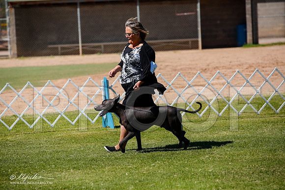 _JJ_8194-AlamogordoOct2014-HR3