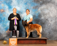 Belgian Tervuren #156 Sat1 Judge Michelle Blackowl