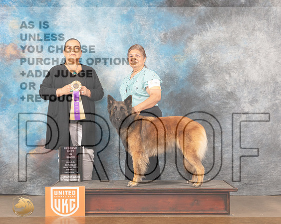 Belgian Tervuren #156 Sat1 Judge Michelle BlackowlMMJ_5605_Lngvw2022HR3