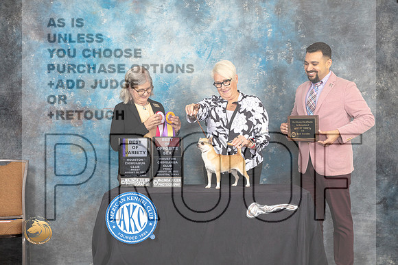 Chihuahua Smooth Coat #5 Fri BOVBOS Judge Carol Pyrkosz_MJ_9593_HstnTOY_2022_HR3