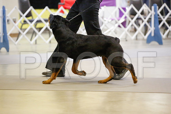 _JN_6694-AmarilloSept2014-HR3