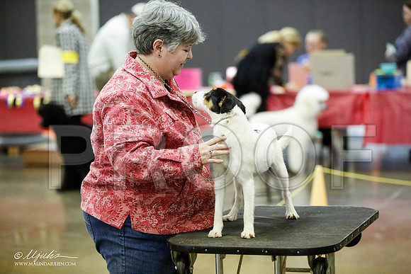 _JJ_5921-BeltonJan2015IABCA-HR3