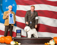 Bichons Frises #5 Sun G1 Mathog Robert Deena R Wolfe L Bettis E Cha Agent Lisa Bettis Judge Mr Robert R Frost