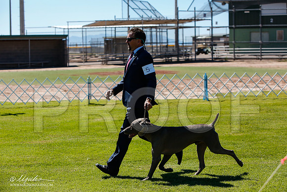 _JJ_5248-AlamogordoOct2014-HR3