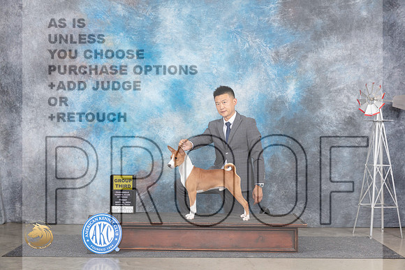 Basenji #5 Fri G4 Judge Ann Roth__JP_5390_Amarillo_2024_HR3