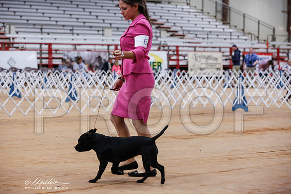 _JJ_8200-TxArJun2014-HR3