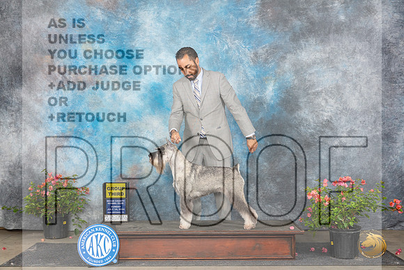Standard Schnauzers #12 Sun G3 Judge Karen McFarlane__JP_6309_San Antonio_2024_HR3