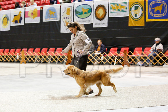 BoBG-5068-WFOct2013-HR