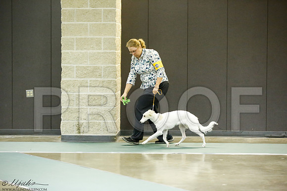 _J3L7079-BeltSep2014-HR