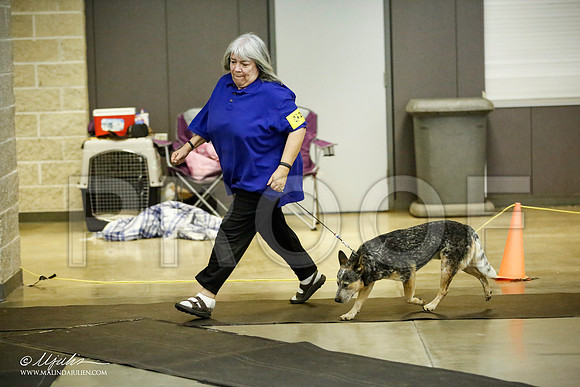 _JJ_7031-BeltonJan2015IABCA-HR3
