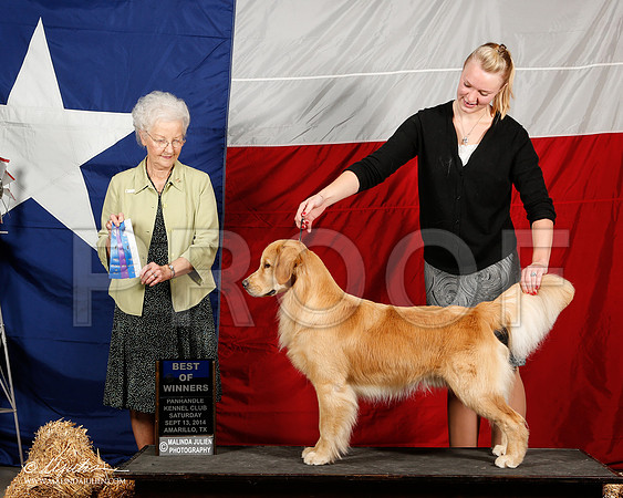 _ST_1702-2-AmarilloSep2014-HR3