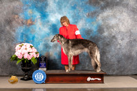 Borzoi #12 FRI BOW Major Judge Timothy Catterson