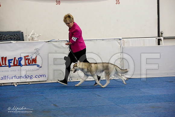 _M3_0610-AddisonHuskyMar2015-HR3