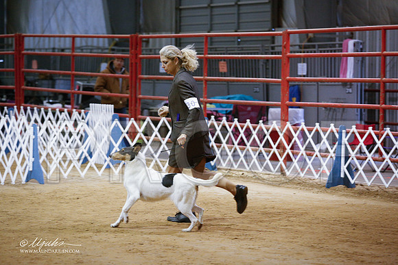 CollieS-3833-GRJan14-HR