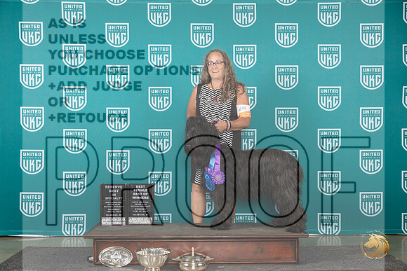 Briard #644 WedBFBISPBOW Judge Jennifer Landers__JP_0420_Premier_2024_HR3