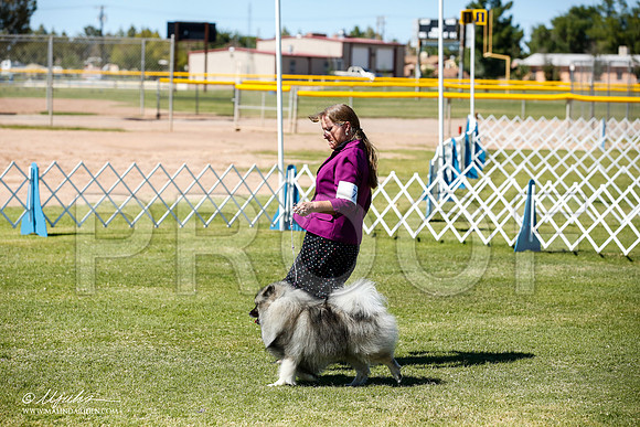 _JN_9149-AlamogordoOct2014-HR3