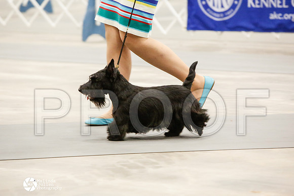 _CK_7026-AblnMay2014-web