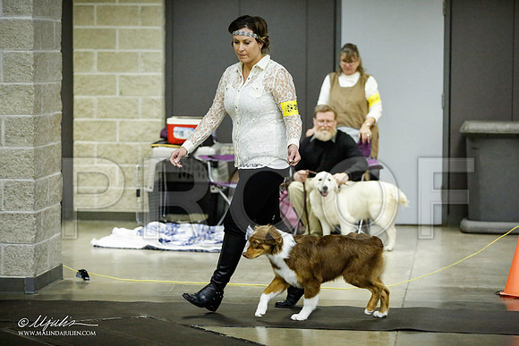 _JJ_6034-BeltonJan2015IABCA-HR3