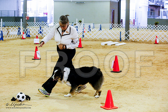 _JJ_6691-ASCACollegeStationNov2014-HR3