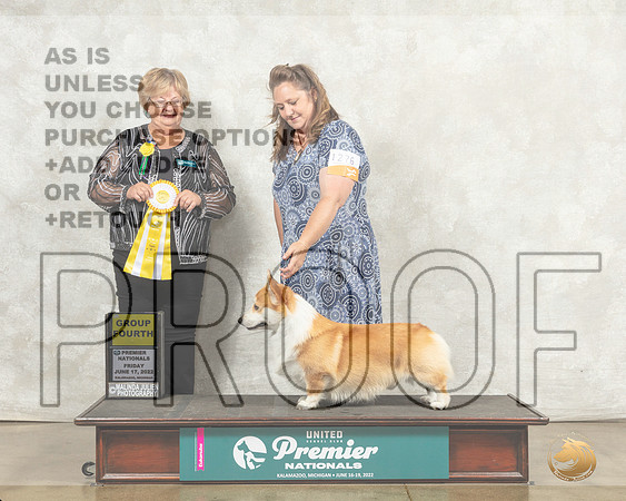Pembroke Welsh Corgi #1276 Fri G4 Judge Mary Ellen Meyer__MJ_8013_Premier_2022_HR3