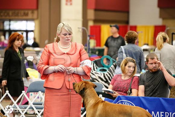 RHOD-0747-FWMar14-HR