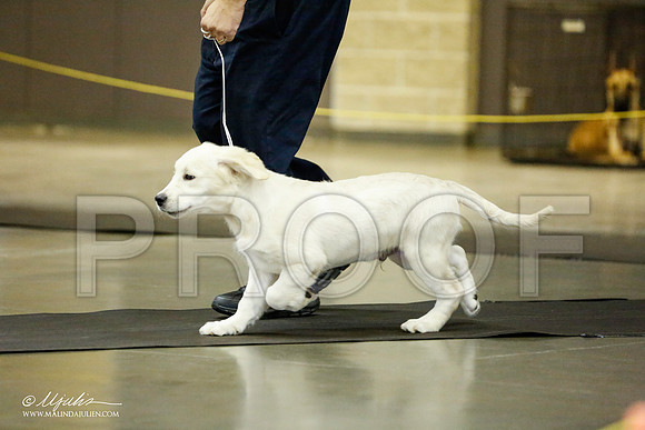 _RH_0960-BeltonJan2015IABCA-HR3