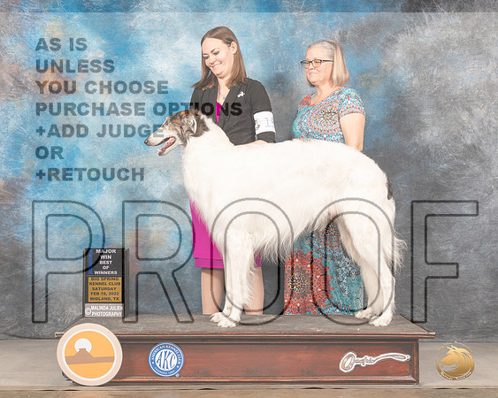 Borzoi #15 Sat WDBOW Judge Del RichardsMMJ_4221_Mdlnd2022_HR3