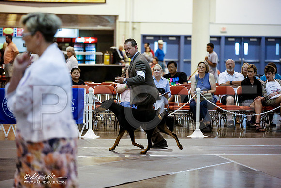 _JN_9703-DalJul2014-HR3