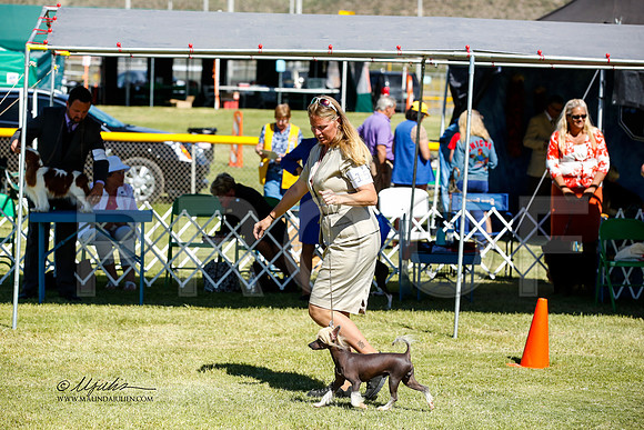 _JN_1163-AlamogordoOct2014-HR3