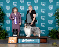Diane Dull UKC Premier 2025