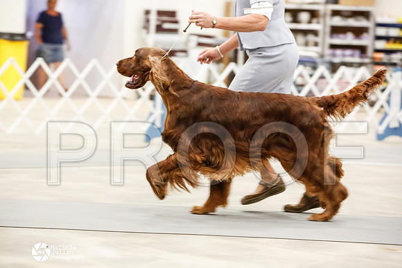 _JN_0648-AblnMay2014-web