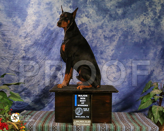 dobe-8170-MidFeb14-HR