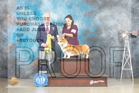 Pembroke Welsh Corgi #7 Fri G3 Judge Fred Bassett_MJ_4036_Amarillo_2022_HR3