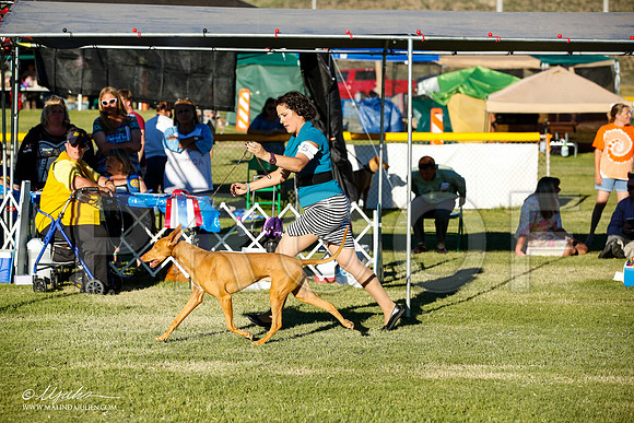 _JN_0128-AlamogordoOct2014-HR3