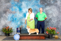 Pembroke Welsh Corgi #12 Fri WB Judge Paul F Willhauck