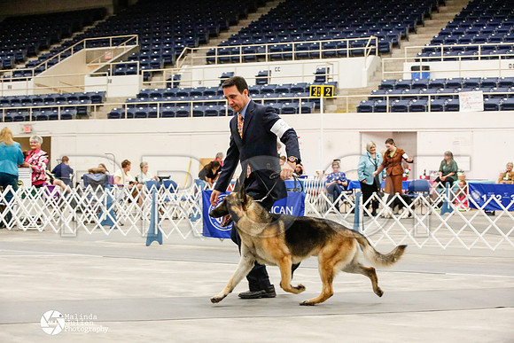 _JJ_0153-AblnMay2014-web